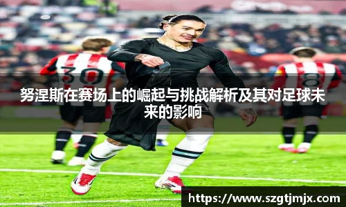 努涅斯在赛场上的崛起与挑战解析及其对足球未来的影响