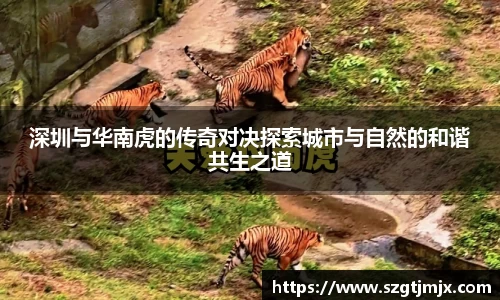 深圳与华南虎的传奇对决探索城市与自然的和谐共生之道