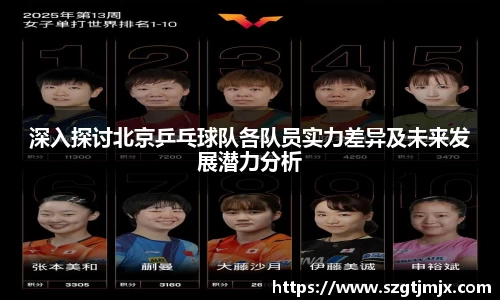 深入探讨北京乒乓球队各队员实力差异及未来发展潜力分析