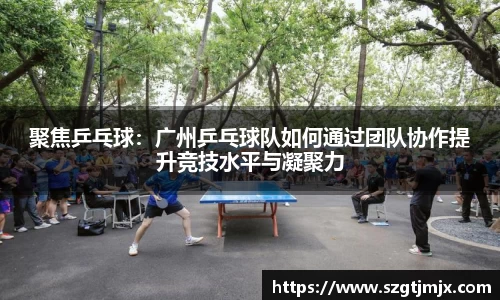 聚焦乒乓球：广州乒乓球队如何通过团队协作提升竞技水平与凝聚力